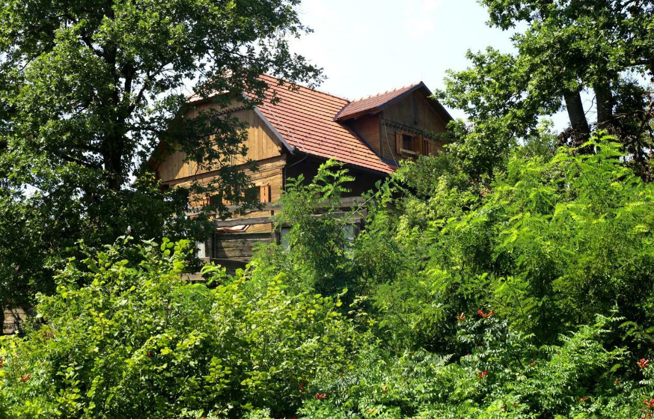 Kuca Suncani Brijeg Pokupsko Exterior foto